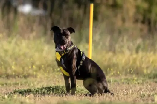 alan-koruma-egitimi alan-koruma-egitimi